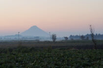 開聞岳とさつまいも畑
