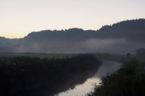 朝もやがかかる川